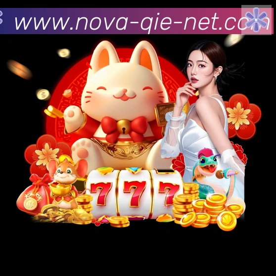 奖项证书